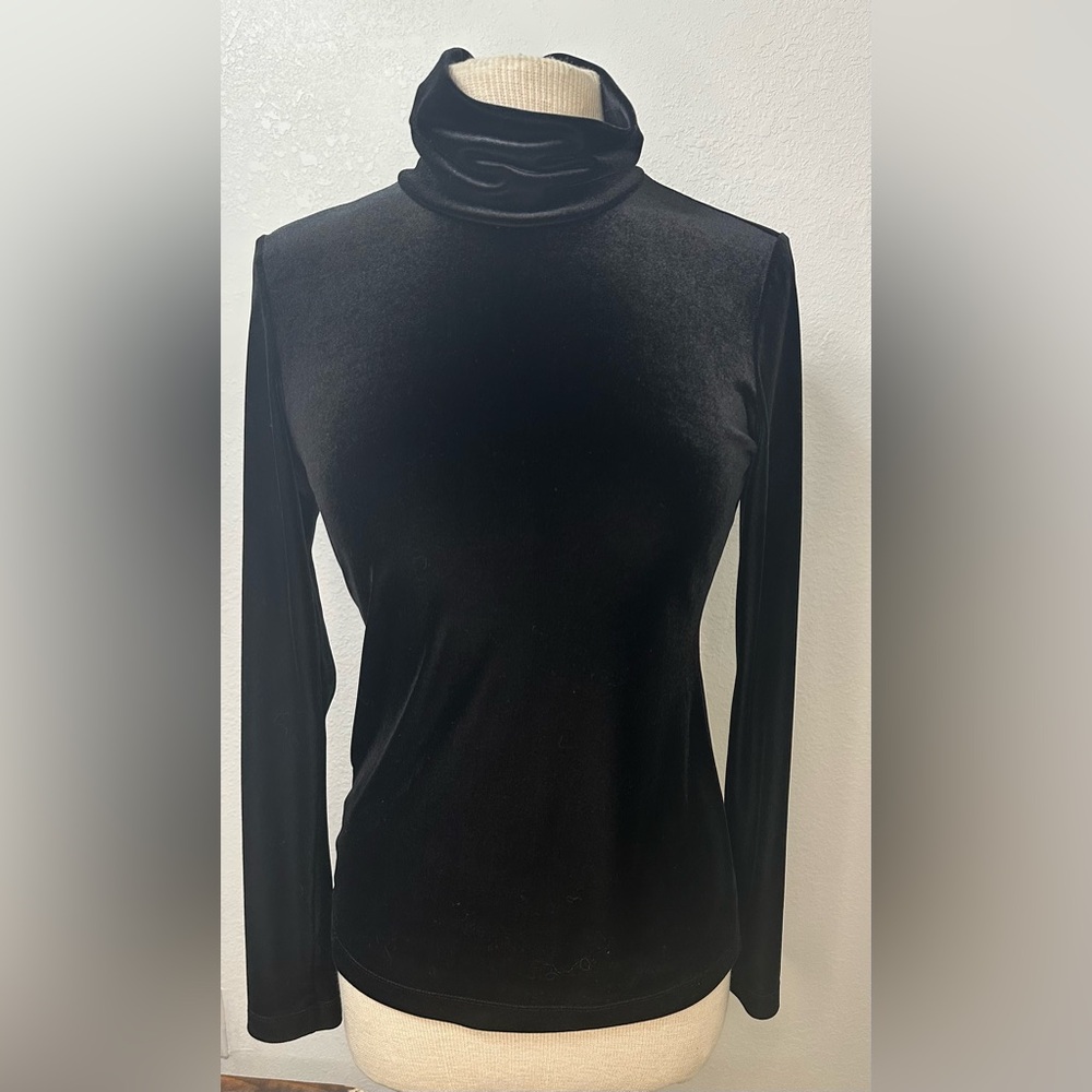 BCBGMaxAzria Black Fitted Long Sleeve Velvet Turtleneck